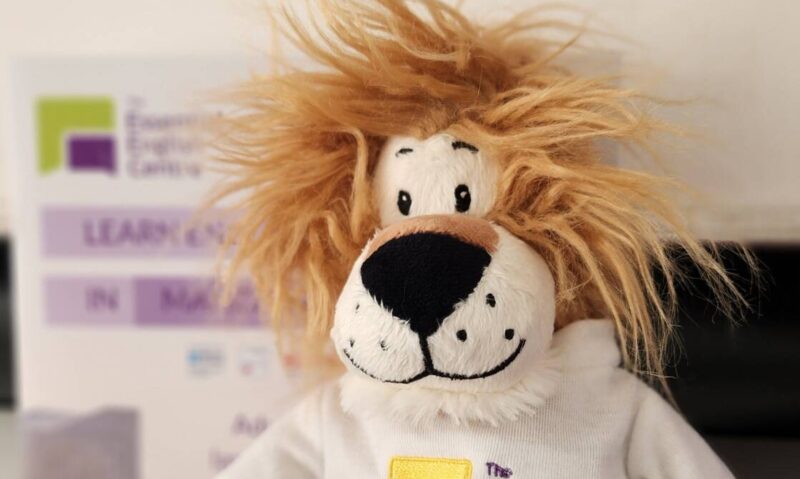 Liam the Lion Manchester