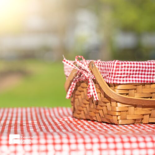 Picnic in the park